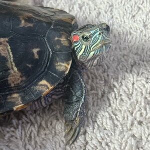 Meet your Posher, Mary Mack.